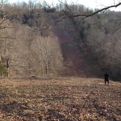 Main image for Hardwin Music City Trail Ultra