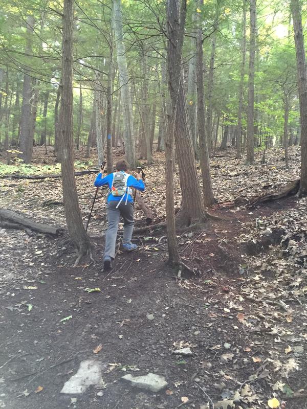 Climbing Lick Brook