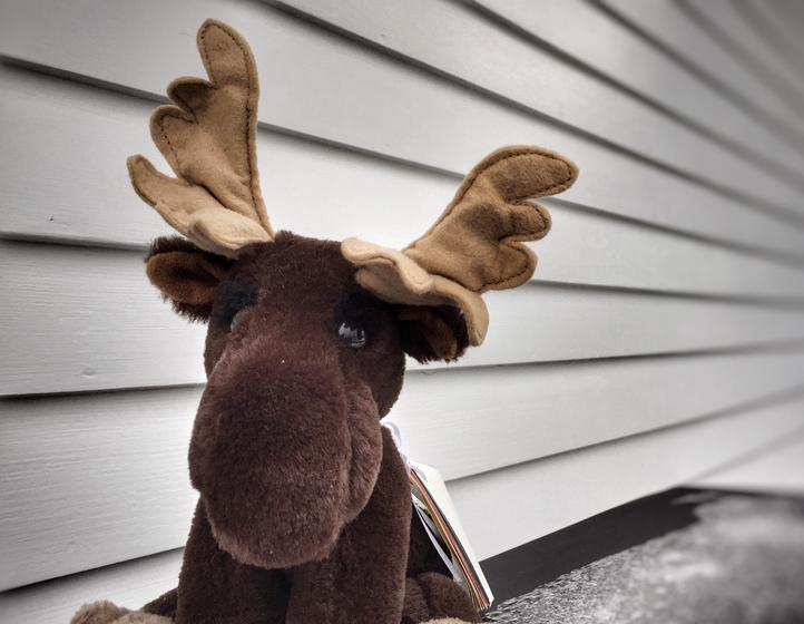Main image for Positive Mental Attitude: The Service of PMA the Moose