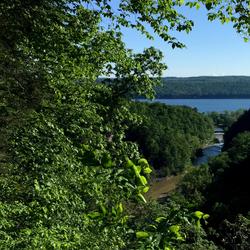 Main image for Cayuga Trails 50: Take 2