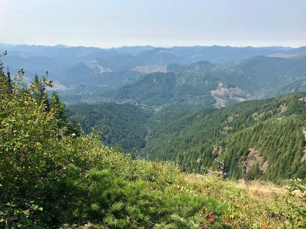 Nice views from the summit
