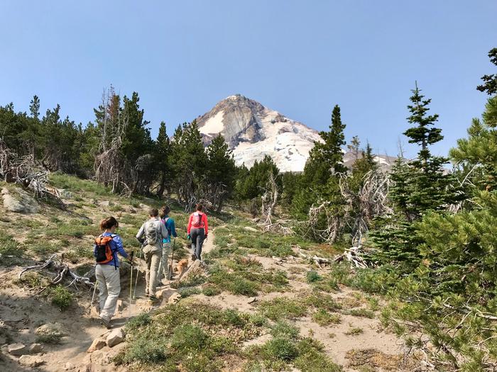 First miles of the hike with peak views of Mount Hood First miles of the hike with peak views of Mount Hood