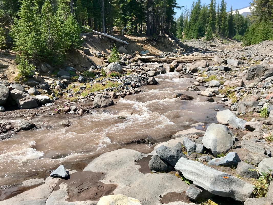 Whychus Creek