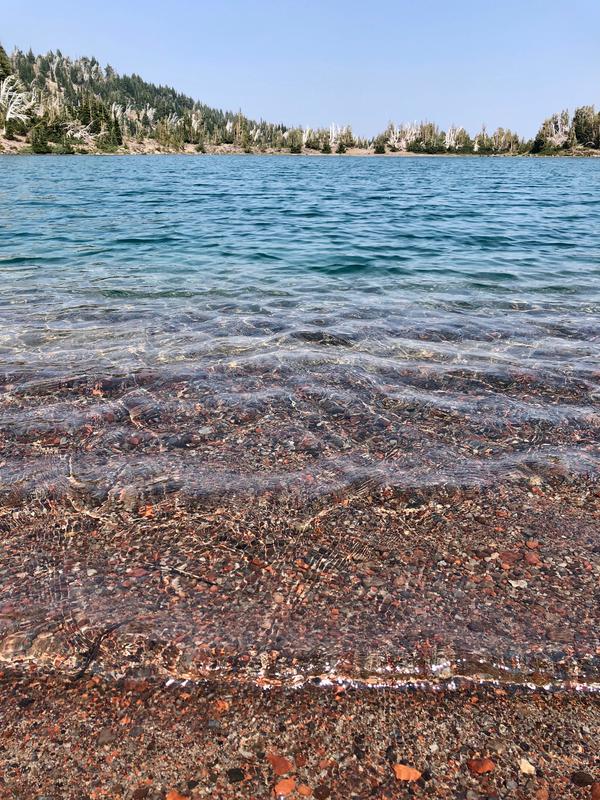 Camp Lake's water is SO clear!