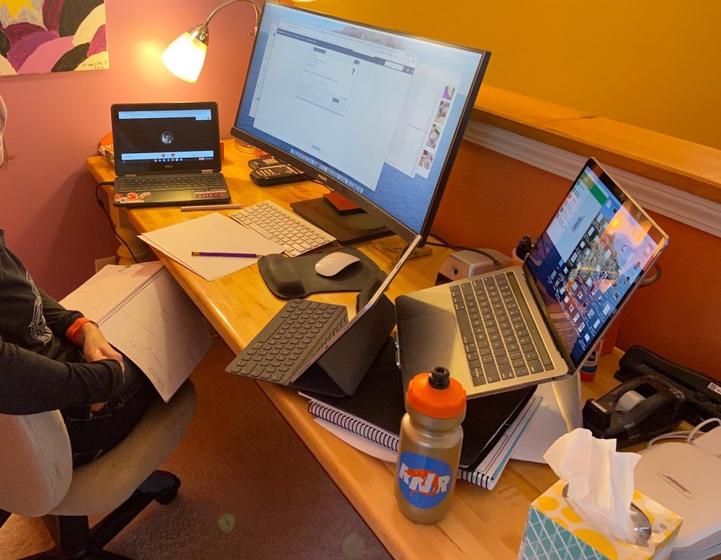 Main image for Virtual Teaching in the Age of COVID-19 and Coronavirus