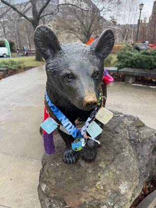Cornell's festive bear Cornell's festive bear