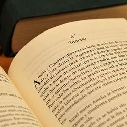 Main image for A Bookmarklet for Confining Google Search Results to a Specific URL