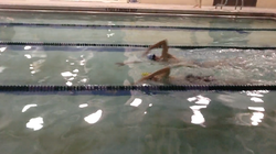 Main image for Total Immersion Level 2